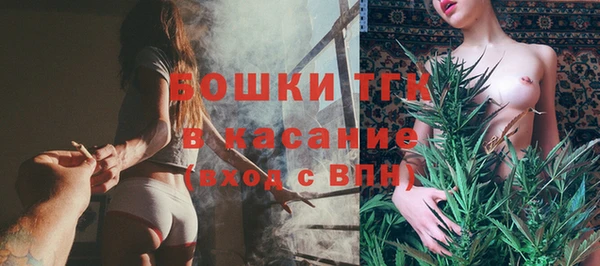 ECSTASY Алзамай