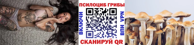 Галлюциногенные грибы Cubensis Урай