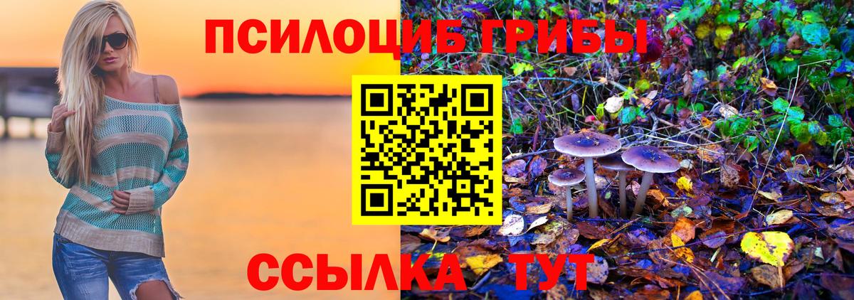 Урай  Галлюциногенные грибы Psilocybine cubensis  купить  сайты  Вход с VPN 
