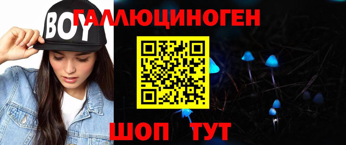 Псилоцибиновые грибы Psilocybine cubensis Урай